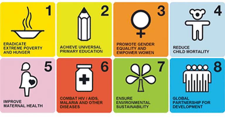 UN Millennium Development Goals